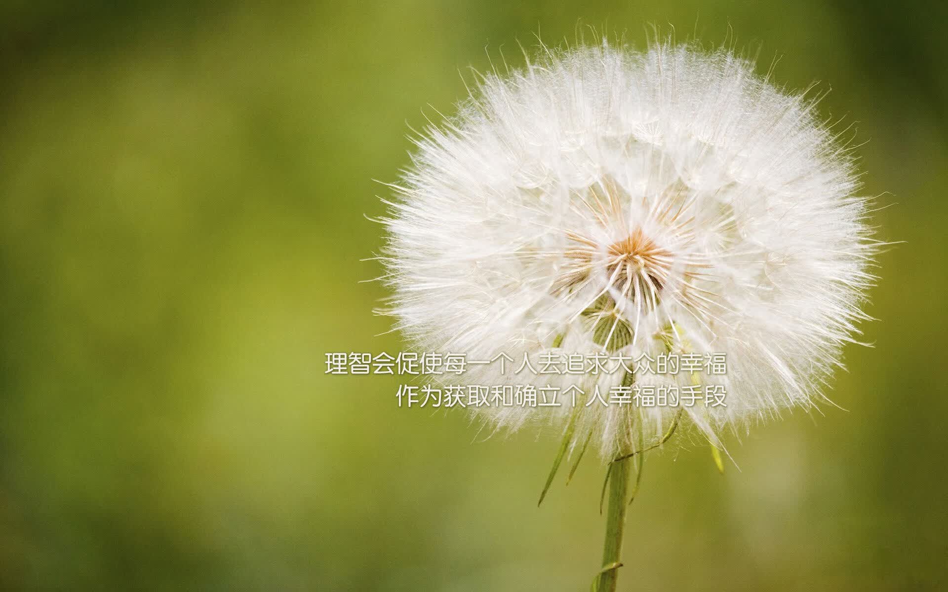 Gaimin Gladiators的统治力秘诀：他们为何能垄断本季所有Major？